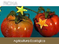 Agricultura Ecol�gica