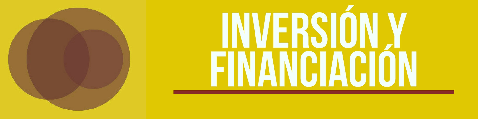 Inversin y financiacin Focus CV 2017[;;;][;;;]