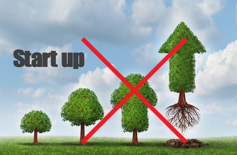 Perqu la teua Start-up no creix?