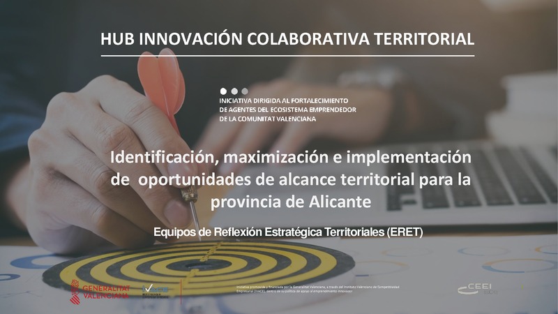 Identificación, maximización e implementación de  oportunidades de alcance territorial para la provincia de Alicante