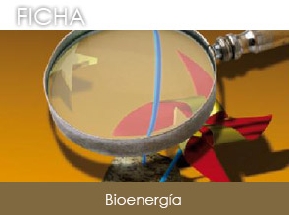Bioenerg�a, Ficha de actividad empresarial