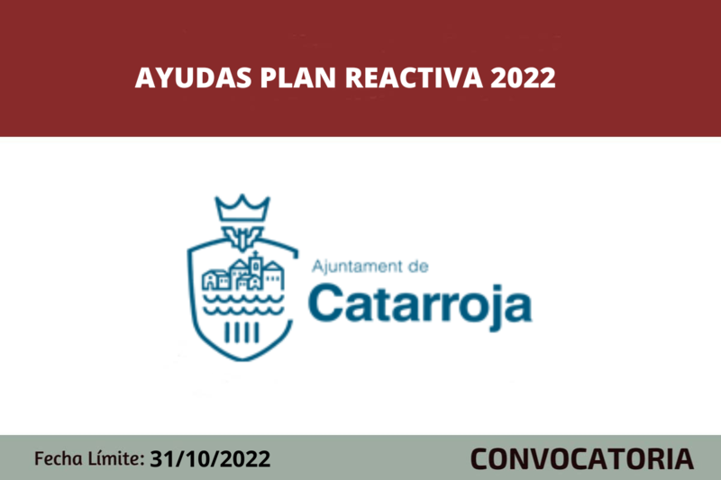 Ampliar imagen
