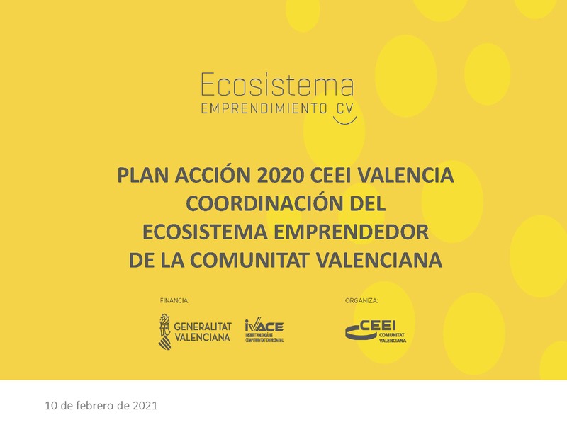 Resumen plan de actividad CEEI 2020