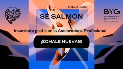Bases de la convocatoria