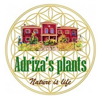 Adrizas Plants