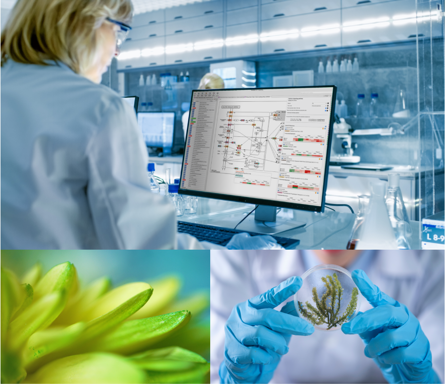 BioBam Bioinformatics S.L.