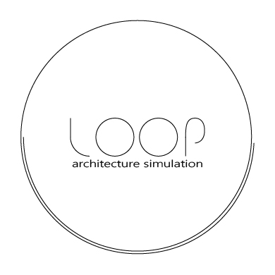 LOOP SIMULATION