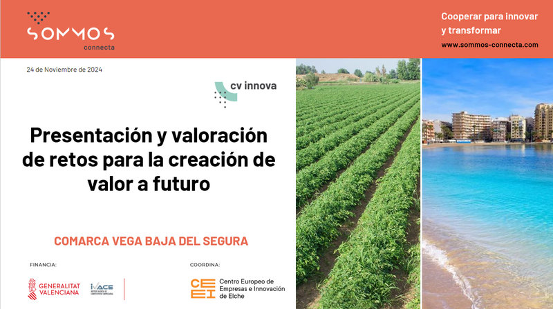 Vota los retos empresariales de futuro del sector agroalimentario y de construcción de la Vega Baja
