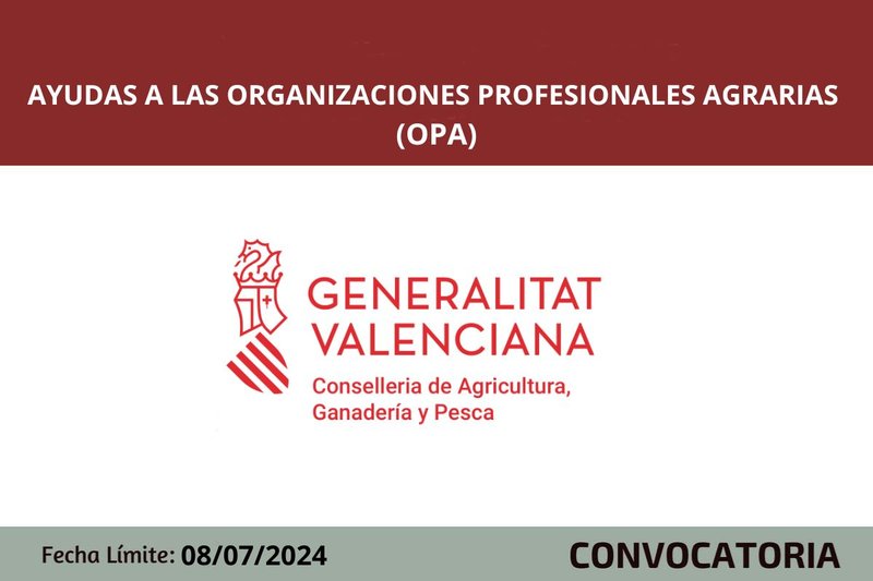 Ampliar imagen