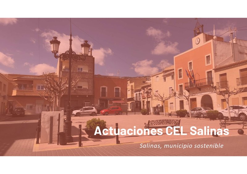 ACTUACIONES CEL SALINAS