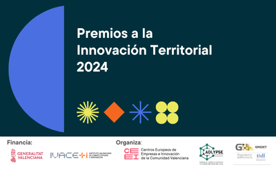 Formulario Premios a la Innovacin Territorial 2024