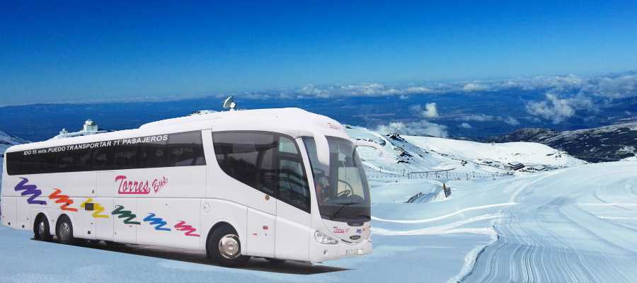 Torres Bus
