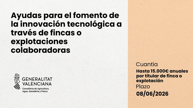 Ampliar imagen