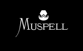 Muspell Coop.V.