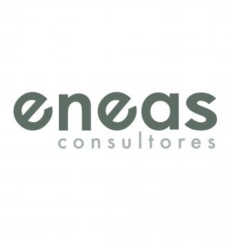 ENEAS CONSULTORES SL
