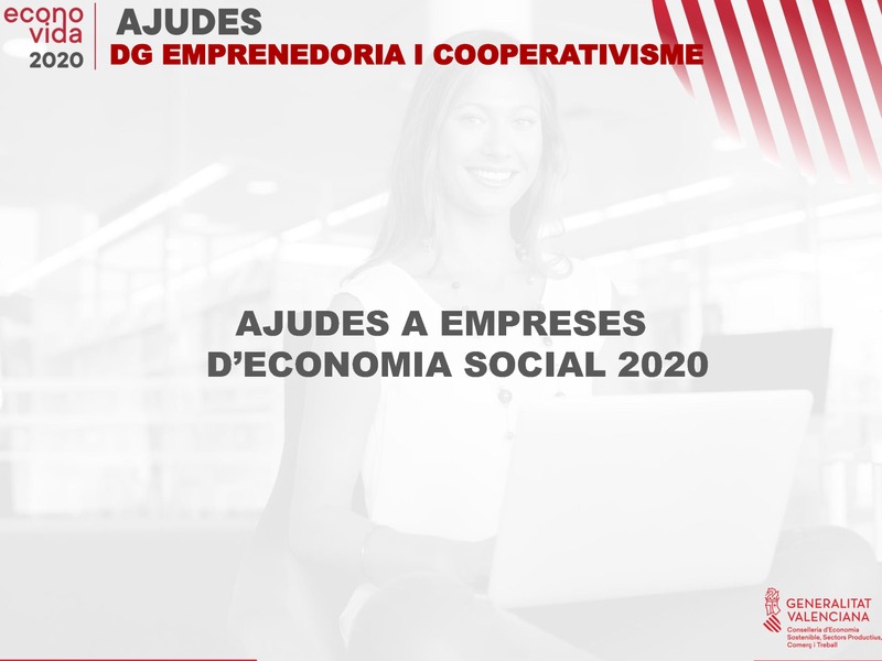 Lneas Direccin General de Emprendimiento y Cooperativismo 2020