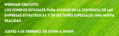 Webinar: Los Fondos Estatales para ayudar en la solvencia de las empresas estratgicas y de sectores especiales