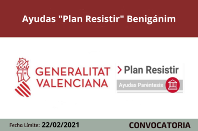 Bases de la convocatoria
