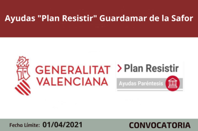 Bases de la convocatoria
