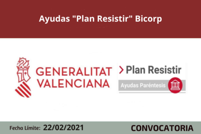Bases de la convocatoria