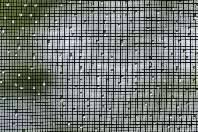 5 beneficios de instalar mosquiteras en casa